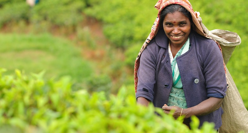 Beschreibung Welttag Internationaler Tag der Frauen in ländlichen Gebieten