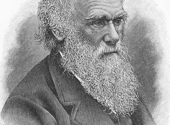 Beschreibung Gedenktag Charles Darwin Tag 2014