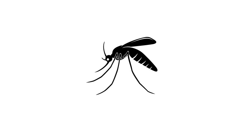 Beschreibung Gedenktag Welt-Malaria-Tag 2014