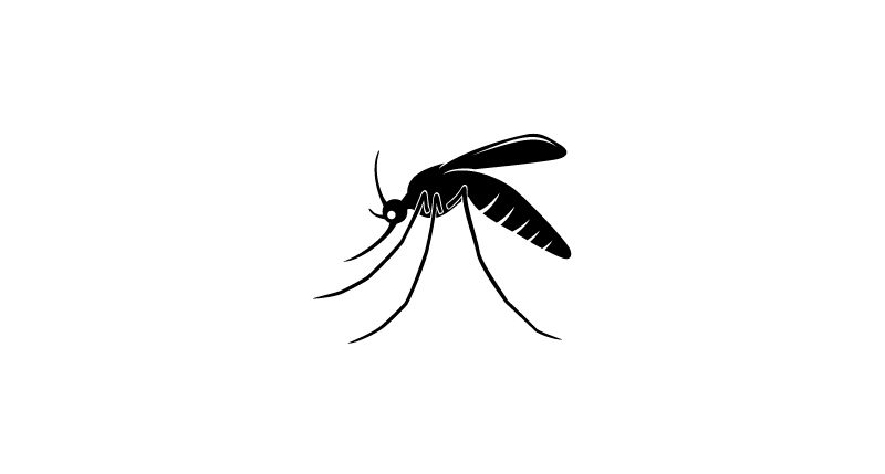 Am 25. April ist Welt-Malaria-Tag. Weitere Informationen und Hintergründe zum Gedenktag Malaria-Tag findest Du hier.