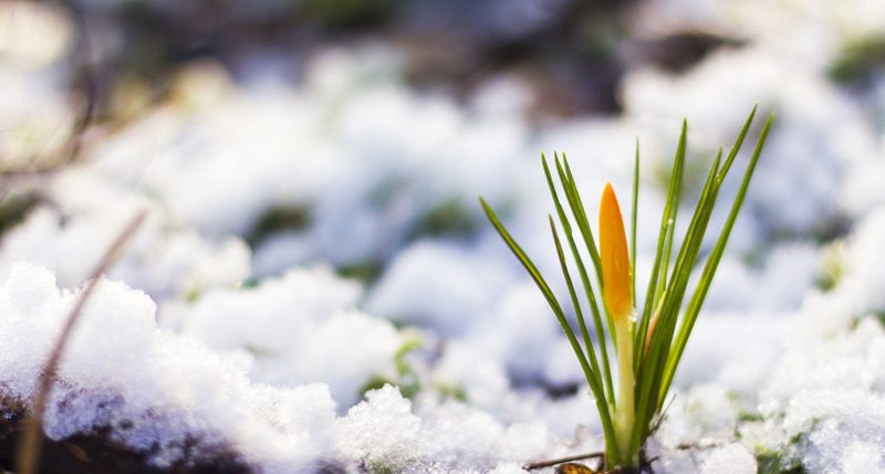 Am 1. März ist Meteorologischer Frühlingsbeginn. Weitere Informationen und Hintergründe zu Jahreszeiten - Meteorologischer Frühlingsbeginn findest Du hier.